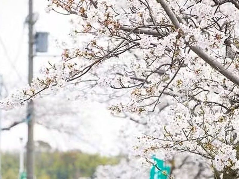 平和台霊園