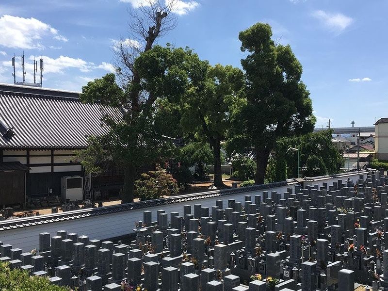 新常福寺霊園