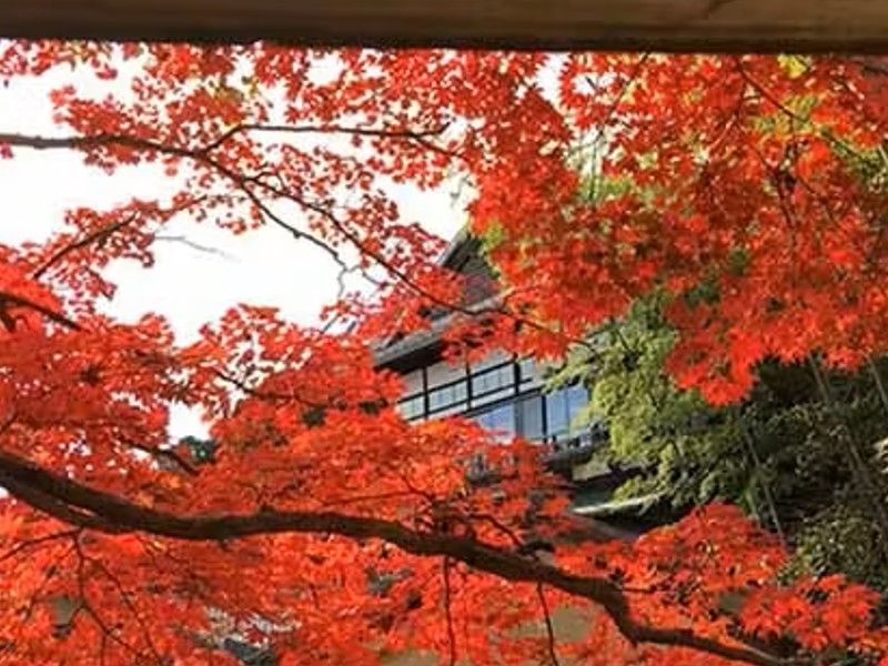 神峯山寺 開成院霊園