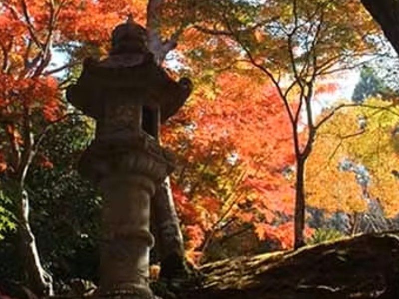 神峯山寺 開成院霊園