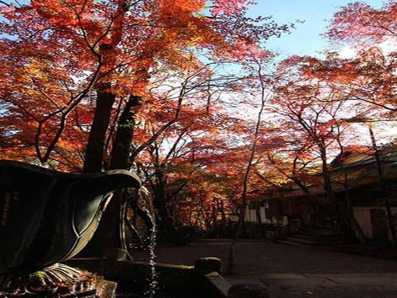 神峯山寺 開成院霊園