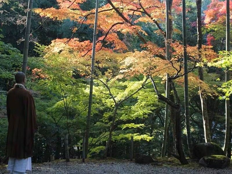 神峯山寺 開成院霊園