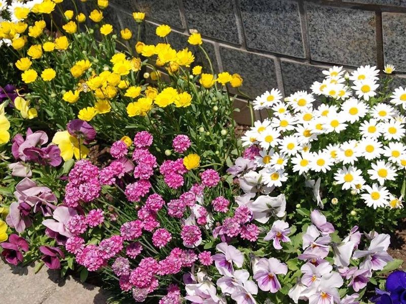 フラワーパークみよしの霊園