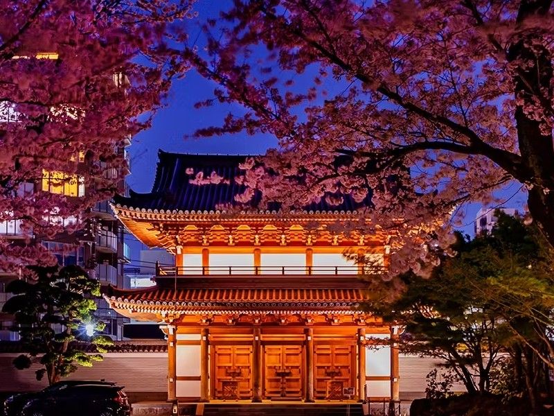 小石川 傳通院