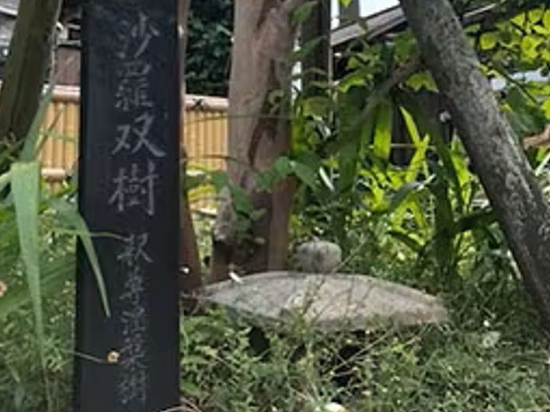 大雄寺 永代供養墓