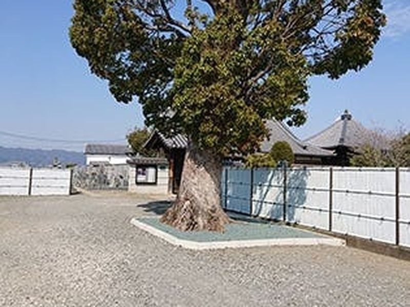 興山寺霊園