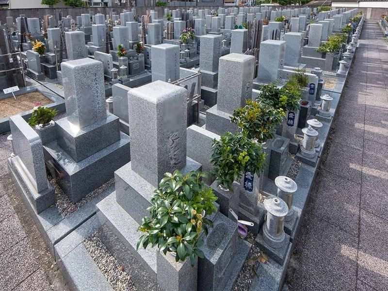 区画はきれいに整備されています