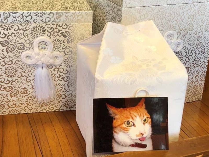 正福寺 龍口山 無量寿堂