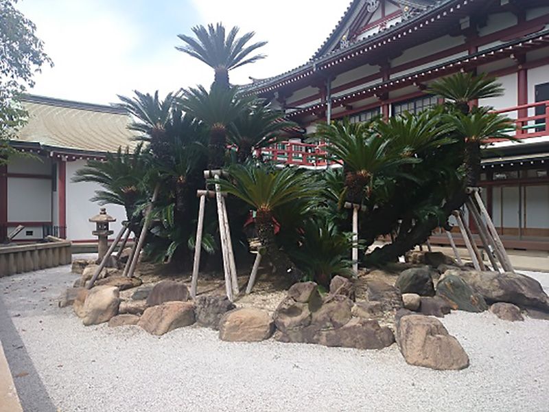 妙國寺霊園