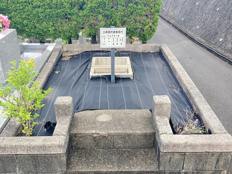 募集区画にはトンボがあります。