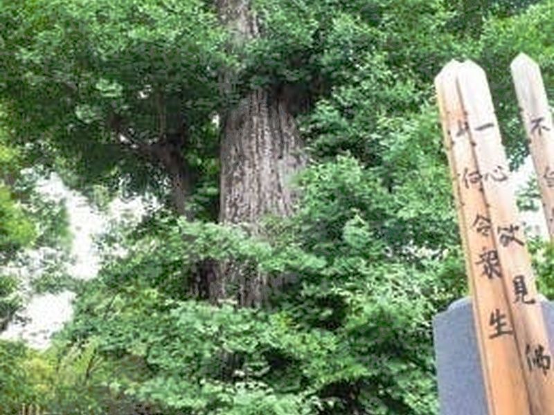 幸國寺
