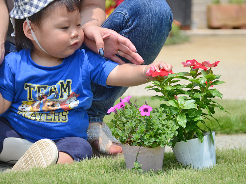 つくば・かすみがうらメモリアルパーク