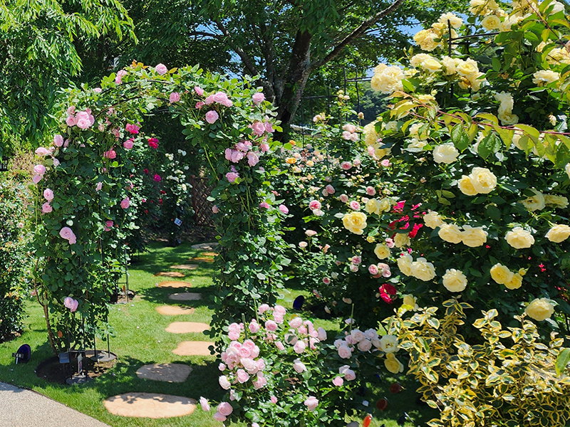 つくば・かすみがうらメモリアルパーク