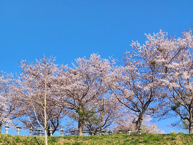つくば・かすみがうらメモリアルパーク