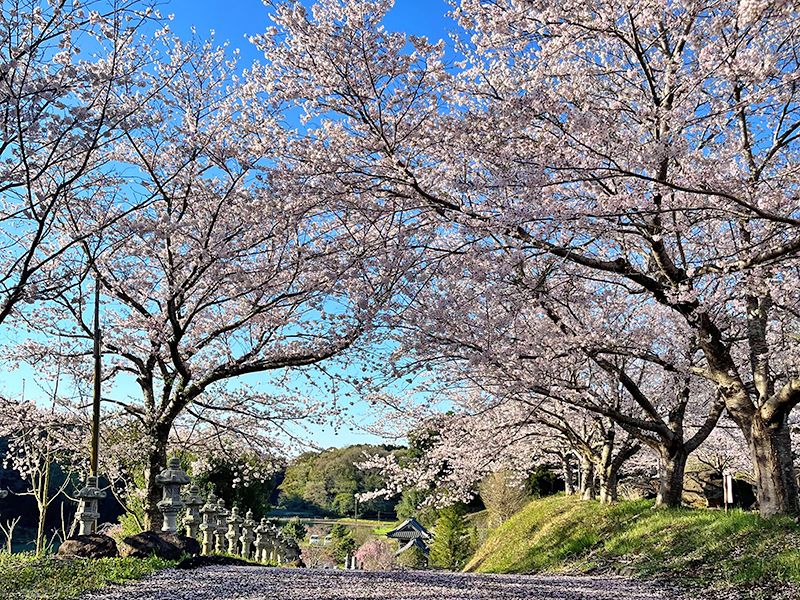 つくば・かすみがうらメモリアルパーク
