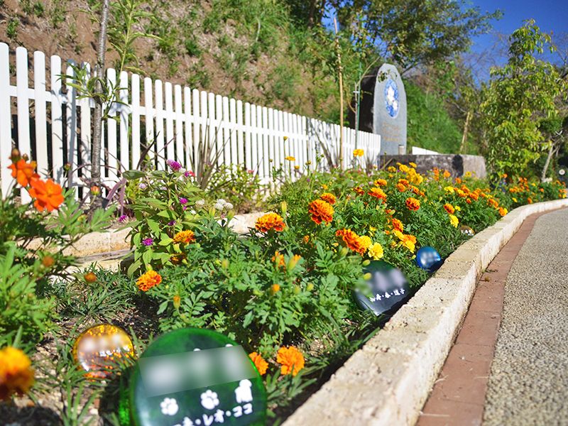 つくば・かすみがうらメモリアルパーク