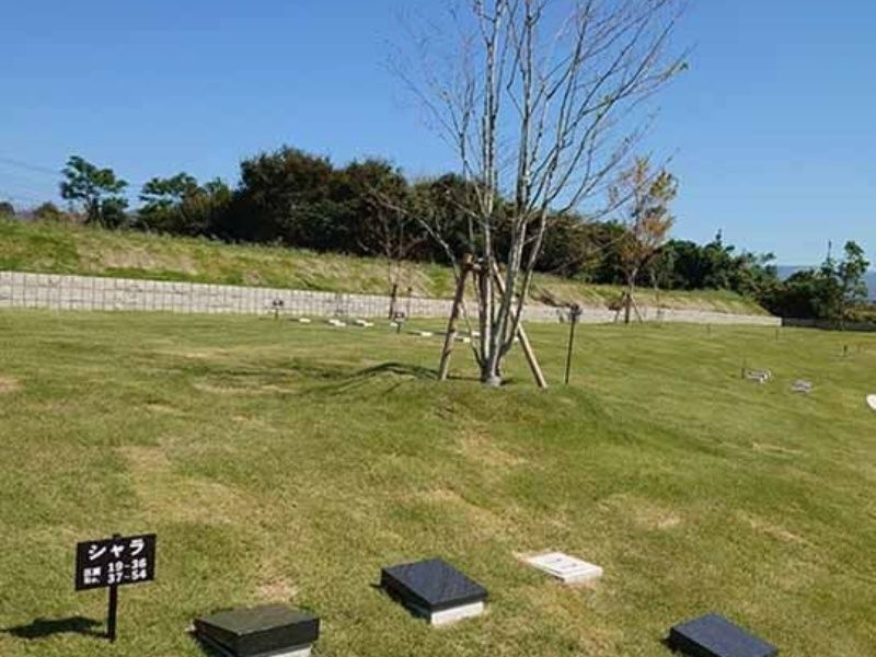 星の露 樹木葬墓地