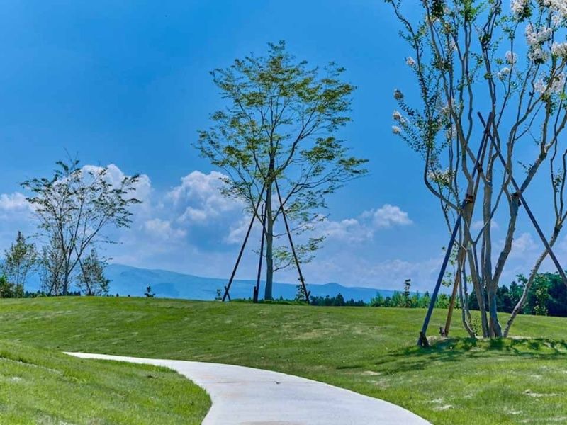 星の露 樹木葬墓地