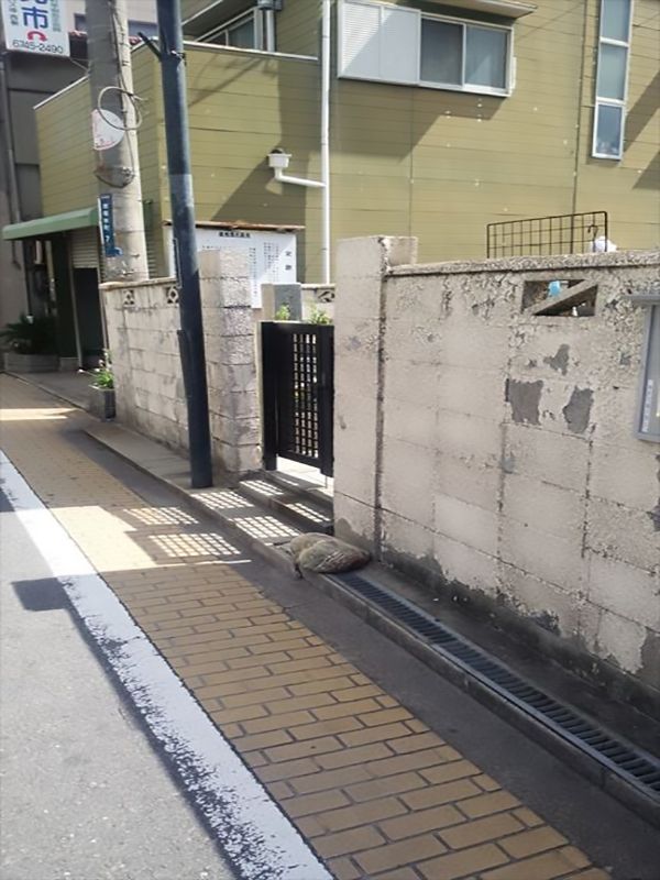 徳庵橋本墓地　墓地外観