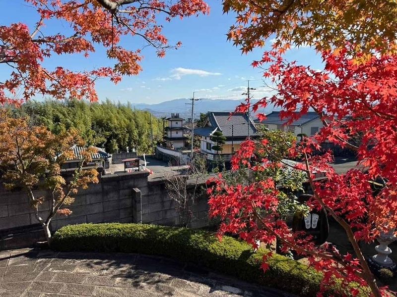 浄願寺 永代供養樹木葬