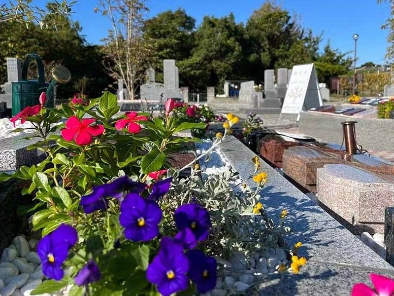 念佛寺 永代供養樹木葬