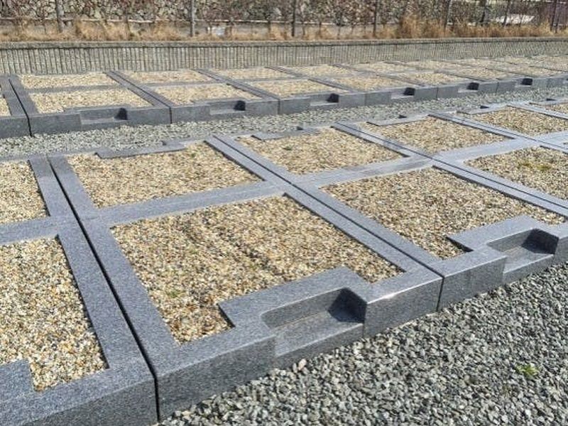 念佛寺 永代供養樹木葬