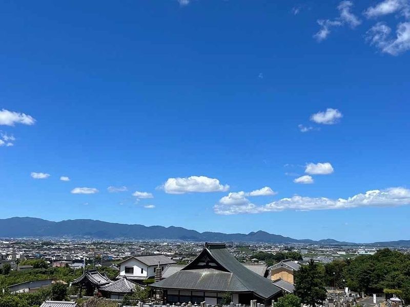 念佛寺 永代供養樹木葬
