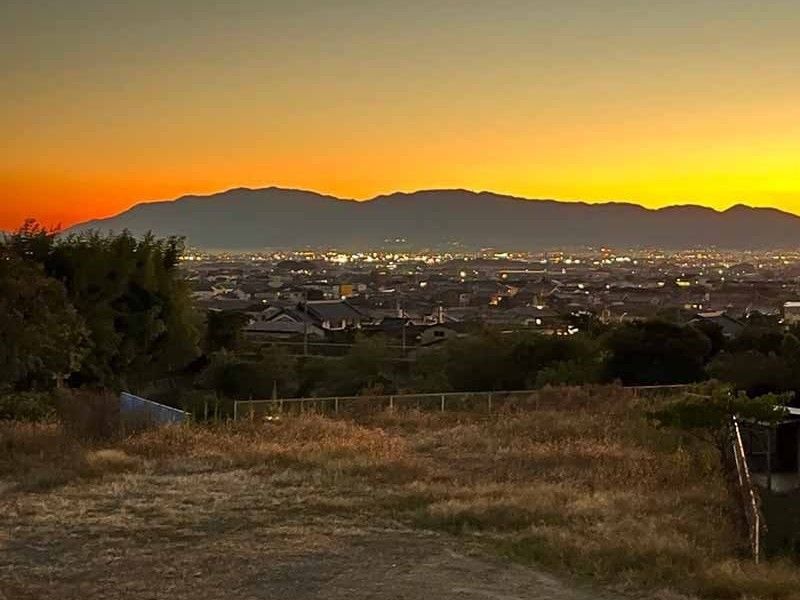 念佛寺 永代供養樹木葬