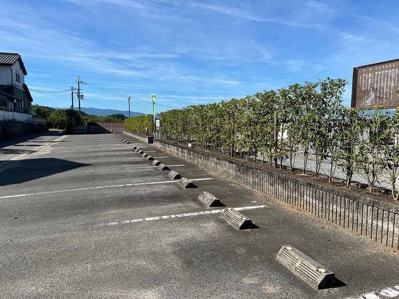念佛寺 永代供養樹木葬