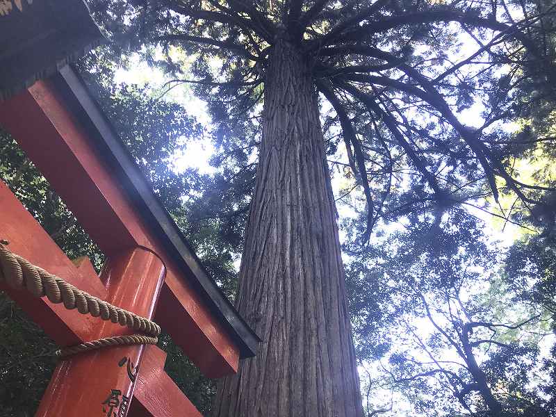 霊山寺東光院大霊園