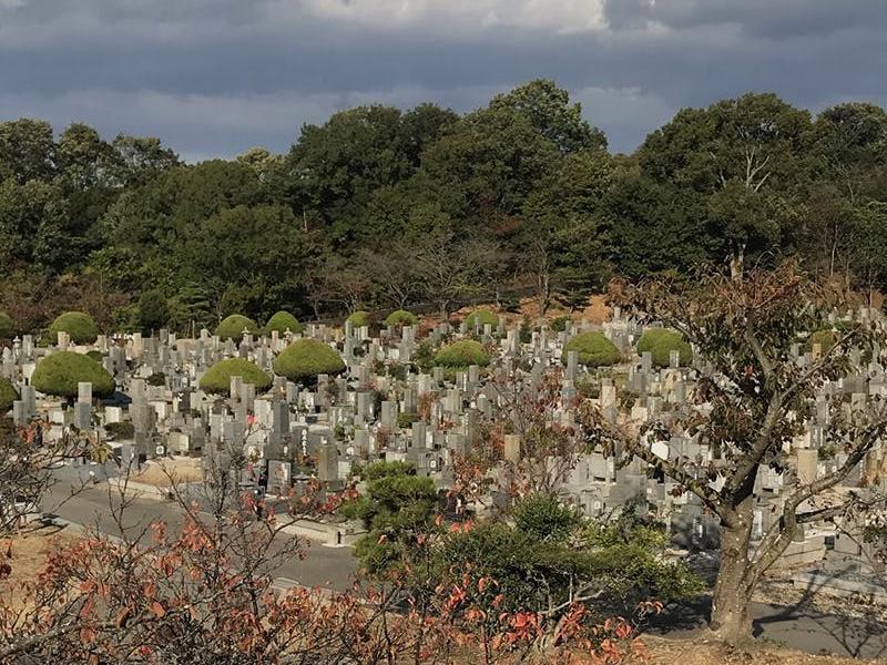 多くの一般墓が建ち並ぶ苑内風景