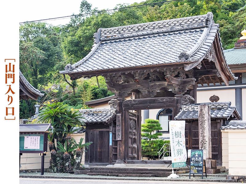 土佐潮江庭園・妙國寺樹木葬