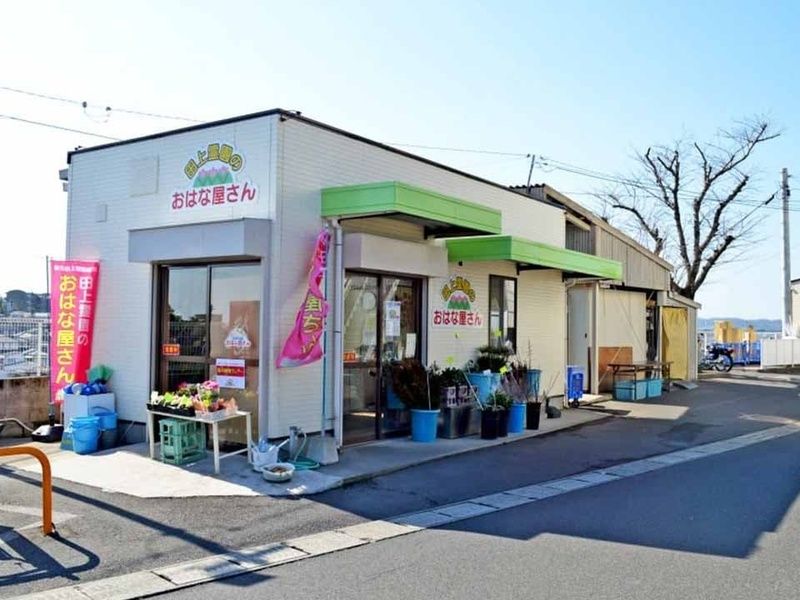 花屋
