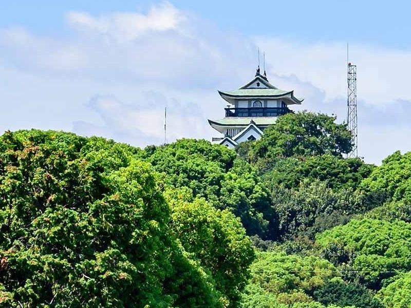 西林寺 樹木葬・永代供養塔・永代個別墓