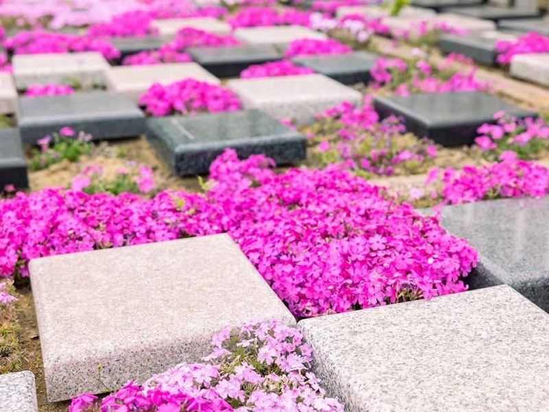 Beautiful Life 千葉の杜