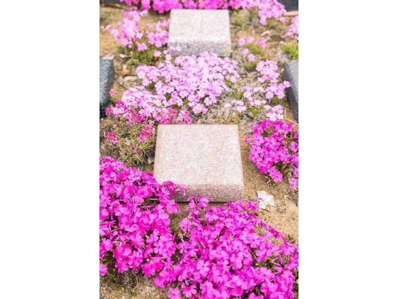 Beautiful Life 千葉の杜