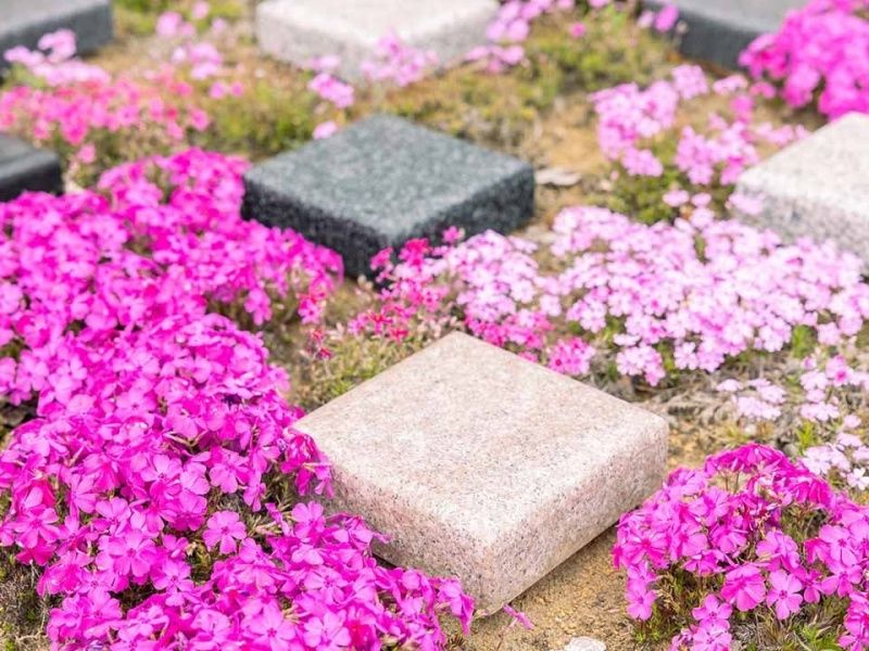 Beautiful Life 千葉の杜