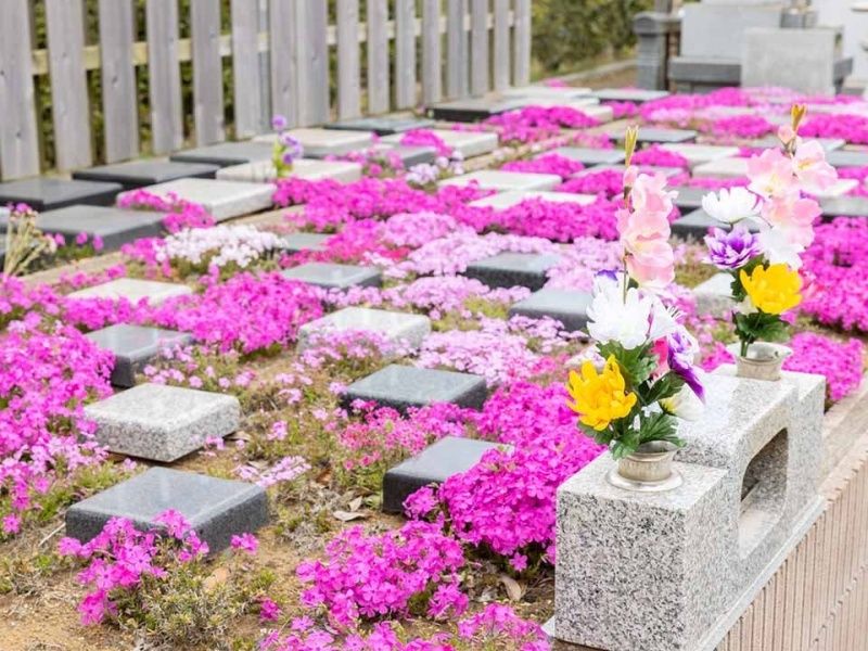 Beautiful Life 千葉の杜