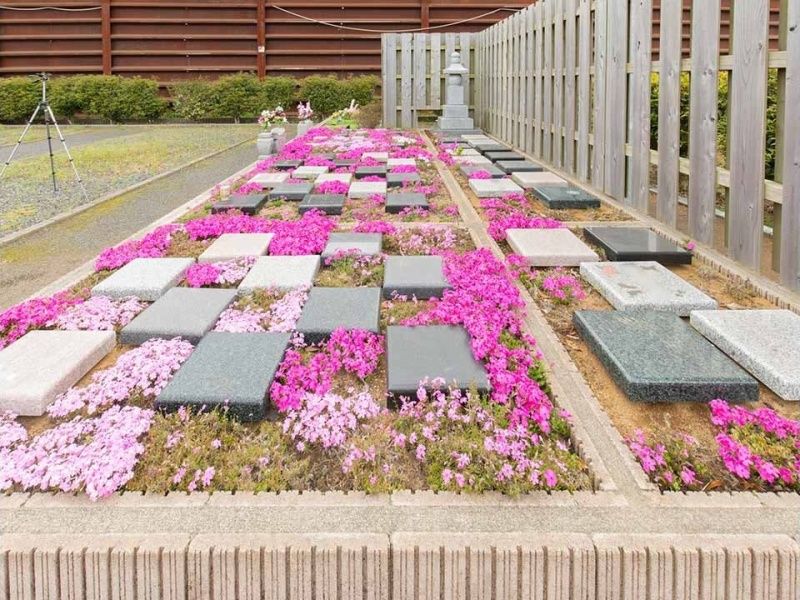 Beautiful Life 千葉の杜