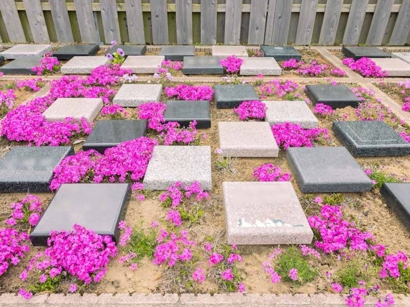 Beautiful Life 千葉の杜