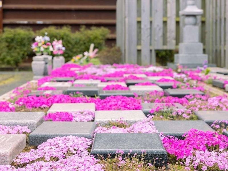 Beautiful Life 千葉の杜