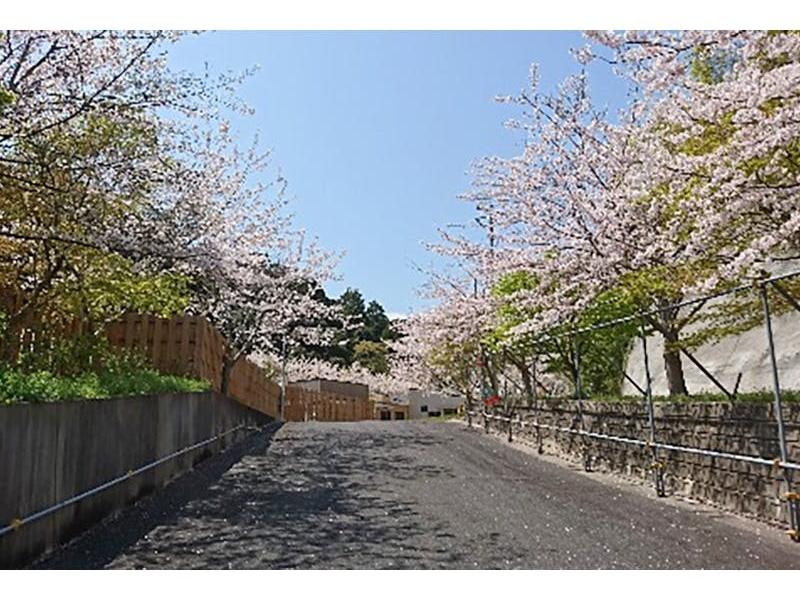 春には園内に桜が咲き誇ります