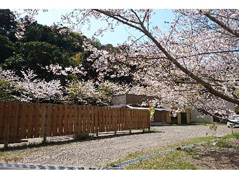 春には園内に桜が咲き誇ります