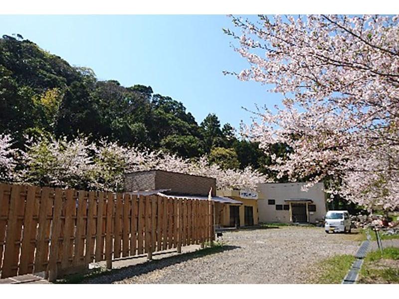 春には園内に桜が咲き誇ります