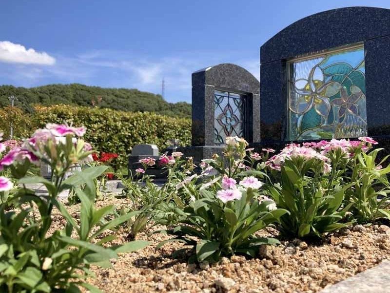 桜は今秋に植樹予定です