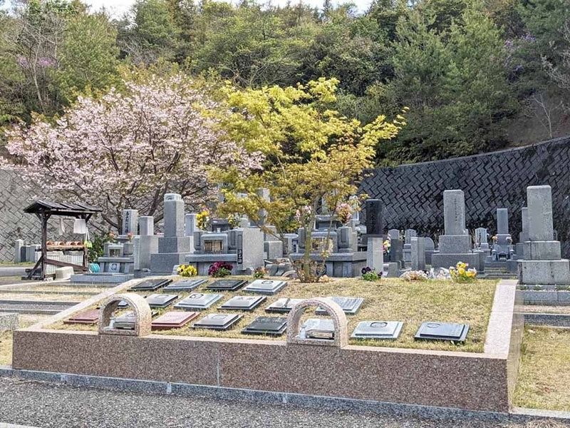 シンボルツリーのもとで眠る樹木葬墓地