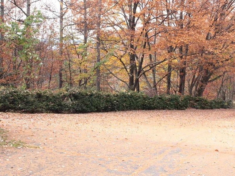 佐久穂町営 八千穂霊園