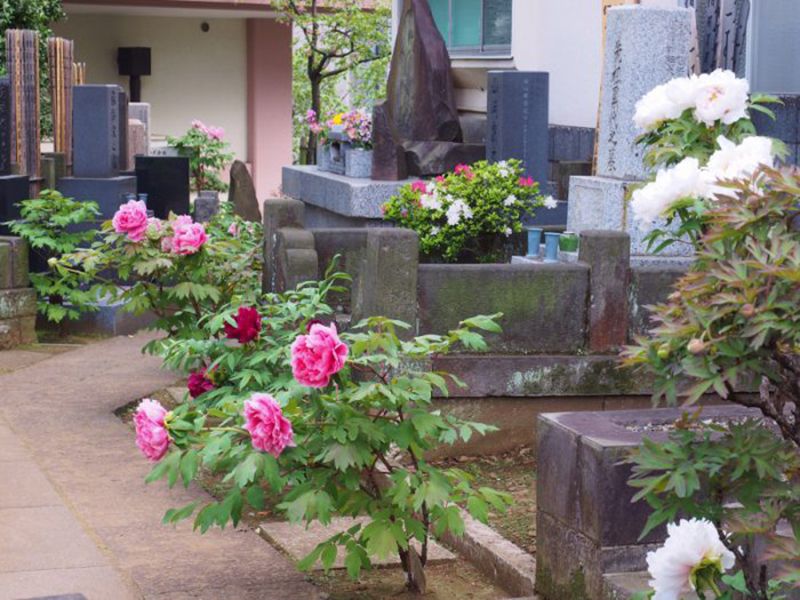 聖輪寺