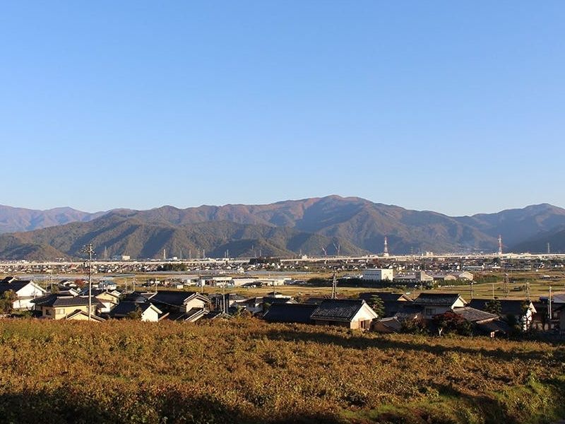 真蔵寺墓地