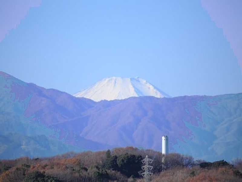 メモリアルフォレスト多摩